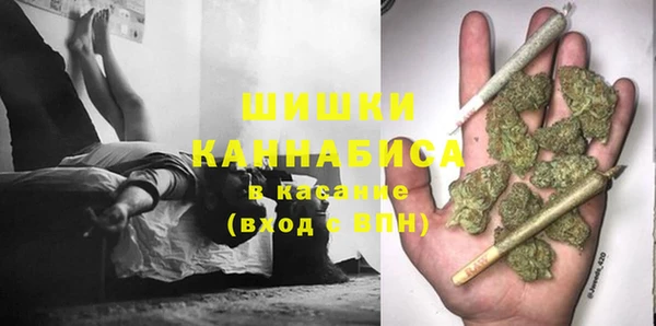 спайс Билибино