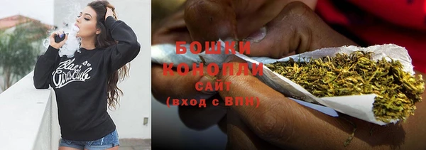 прущая мука Бикин