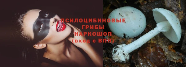 прущая мука Бикин